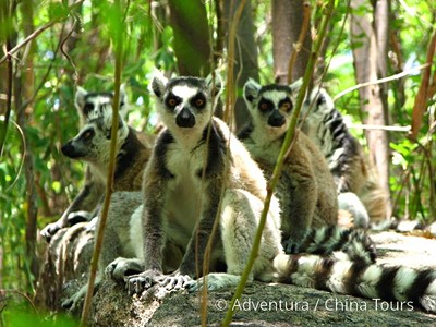 Madagaskar a Mauricius
